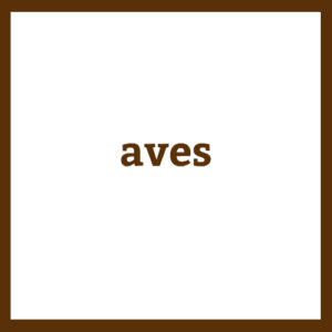 Aves